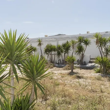 Hotel Thalassopetra
